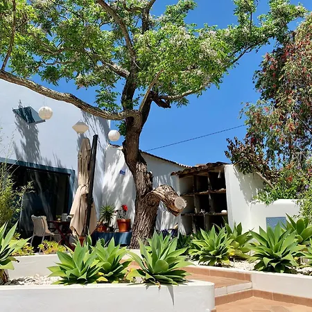 Apartman Oasis Azul - *